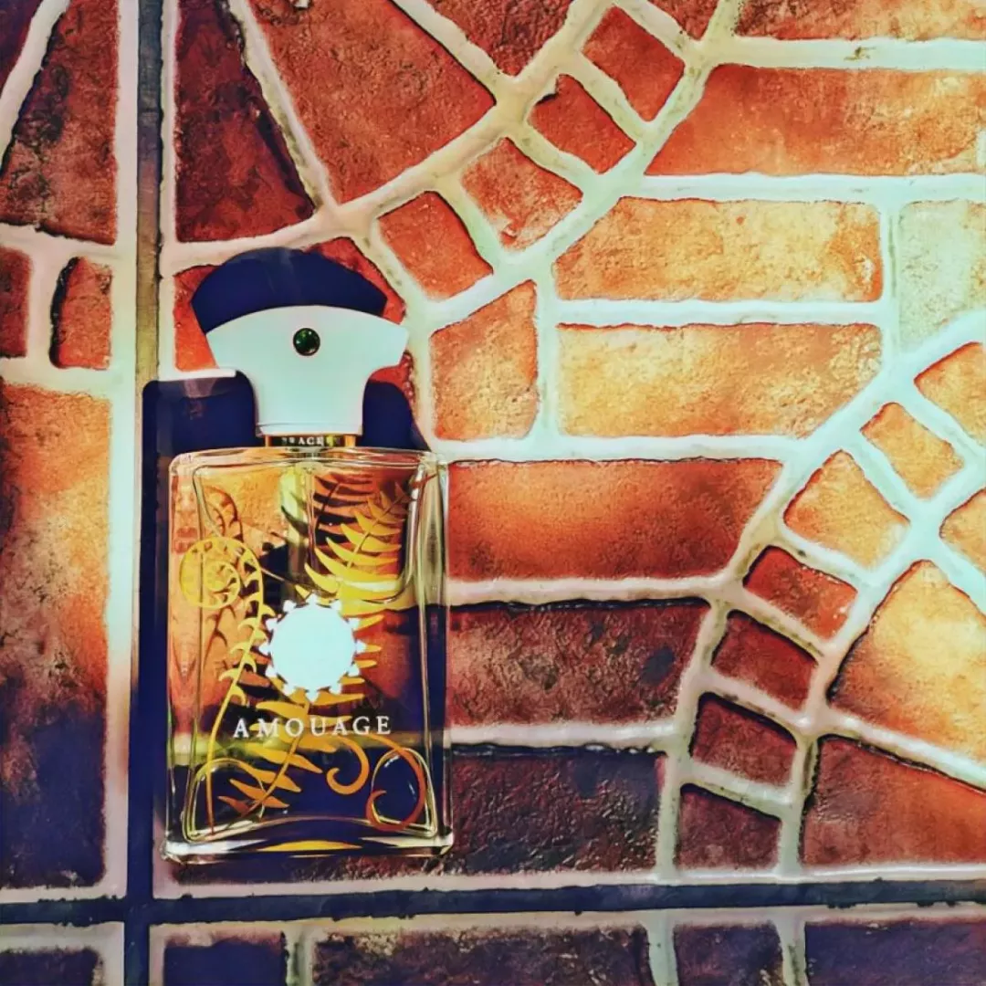 عطر أمواج براكن للرجال 100 مل من ماركة AMOUAGE - أكسيك Axeek