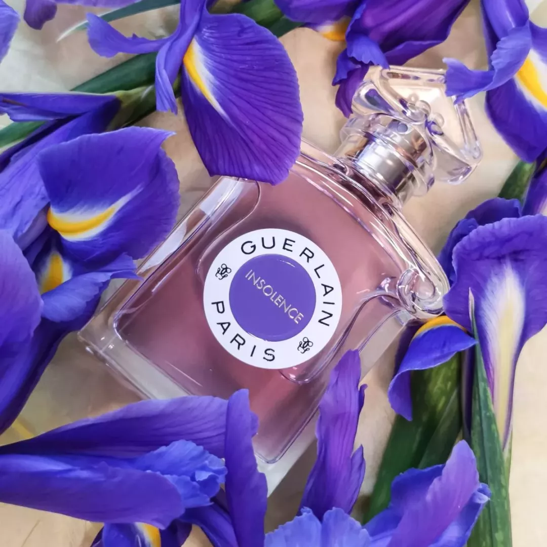 عطر جيرلان انسولانس للنساء 75 مل من ماركة Guerlain - أكسيك Axeek