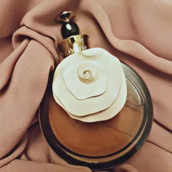 عطر فالنتينو فالنتينا اسولوتو للنساء 80 مل