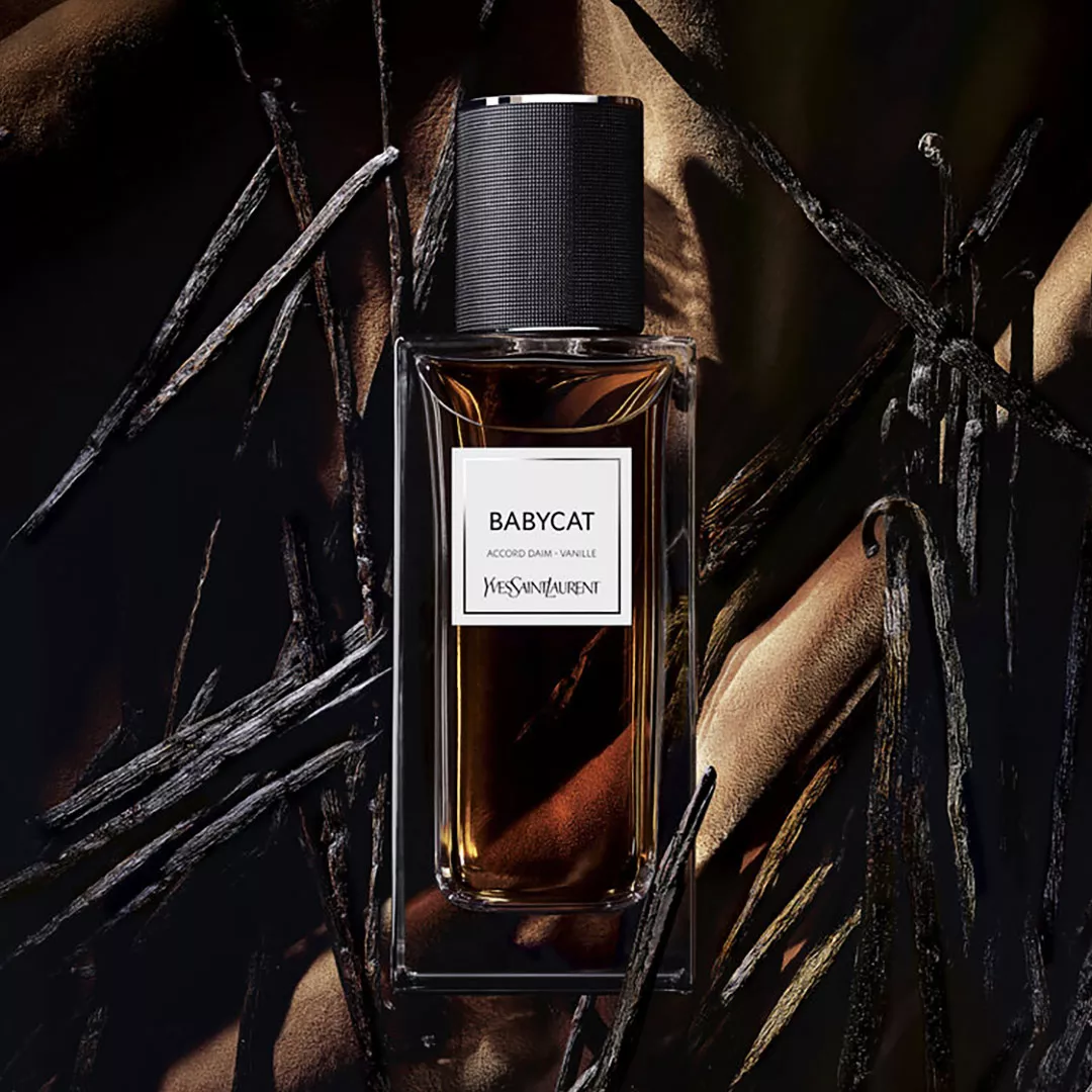 عطر ايف سان لوران بيبي كات لو فيستيير للنساء 125 مل من ماركة Yves Saint Laurent - أكسيك Axeek