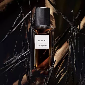 عطر ايف سان لوران بيبي كات لو فيستيير للنساء 125 مل
