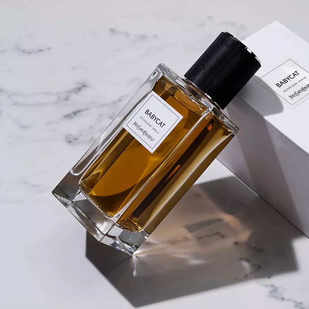 عطر ايف سان لوران بيبي كات لو فيستيير للنساء 125 مل من ماركة Yves Saint Laurent - أكسيك Axeek