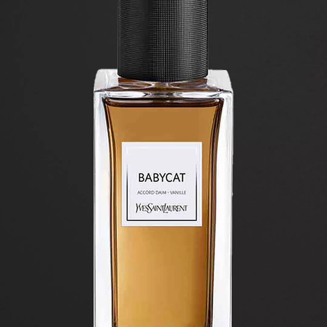 عطر ايف سان لوران بيبي كات لو فيستيير للنساء 125 مل من ماركة Yves Saint Laurent - أكسيك Axeek